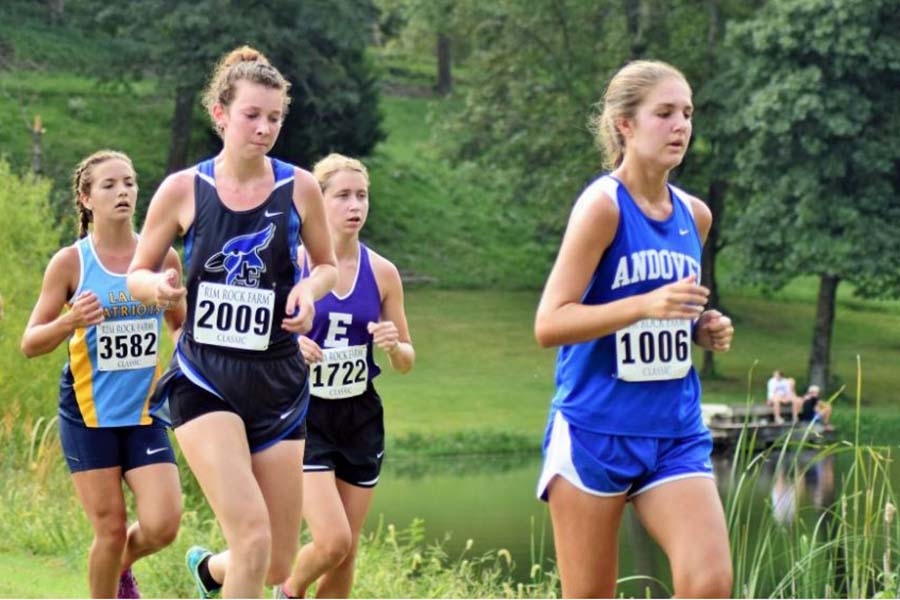 Cross Country Finishes Strong at State The Blue Jay