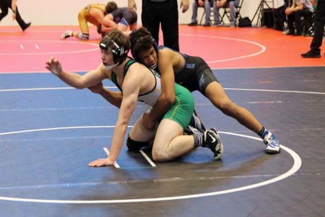 Wrestlers Take On State