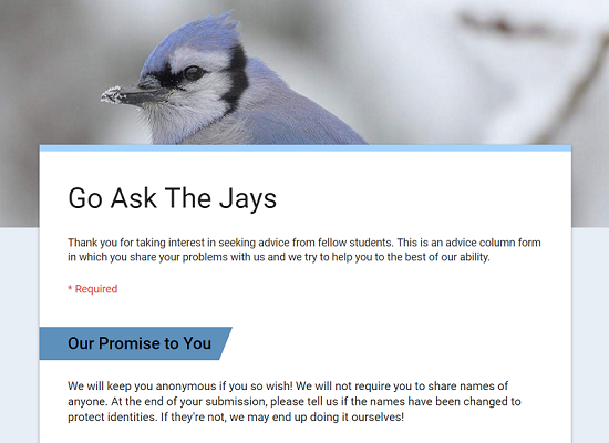 Go Ask The Jays!