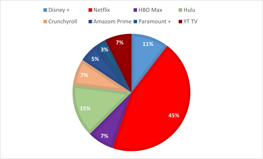 Most popular television streaming services at JCHS